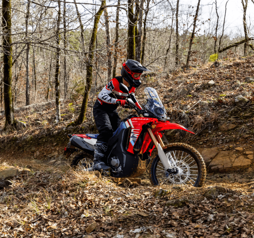 2025 Honda CRF300L Rally-media-2